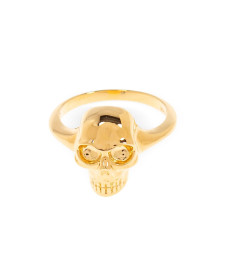ALEXANDER MCQUEEN 813103 J161G0935
