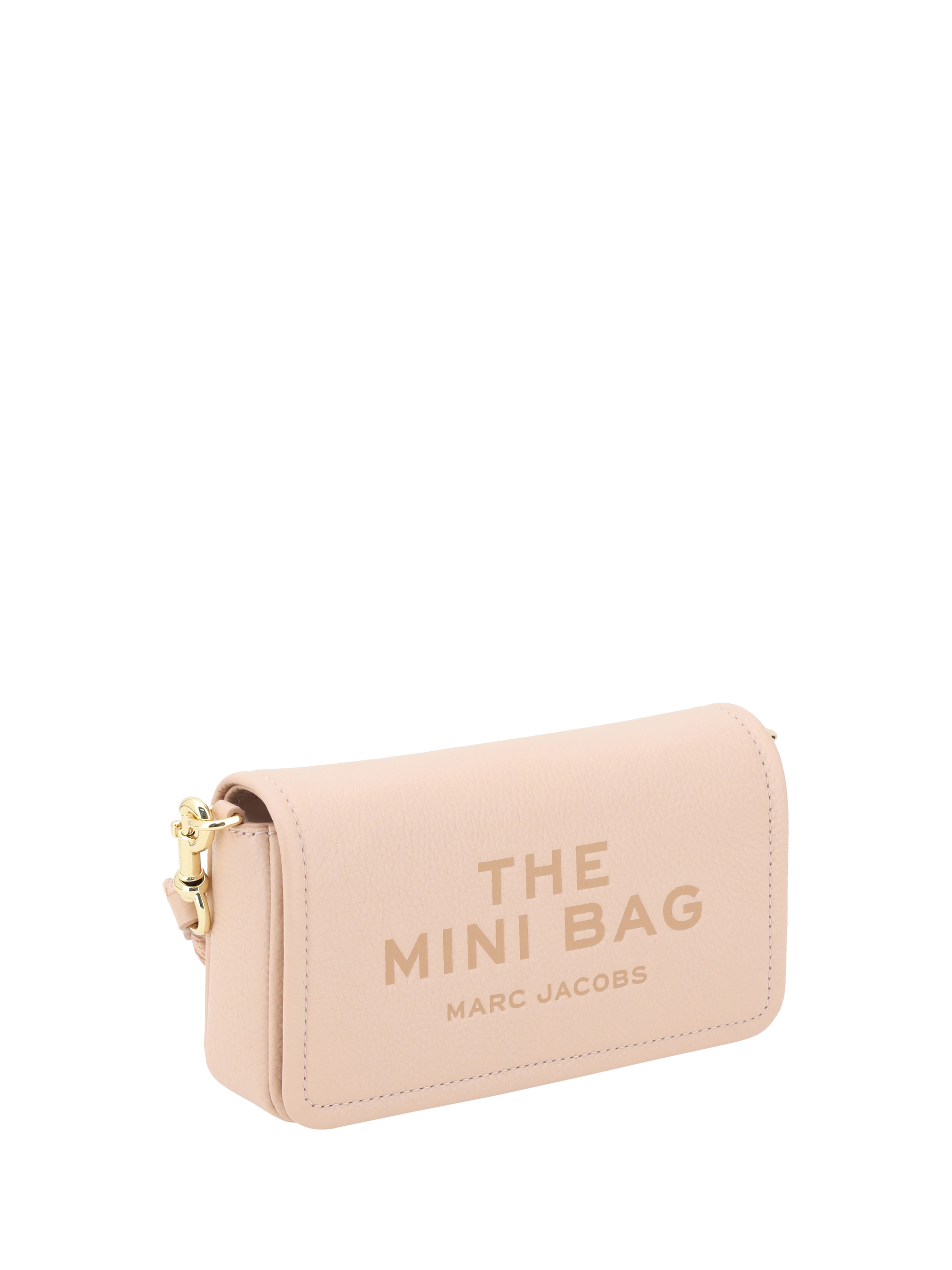 The Mini Bag Shoulder Bag