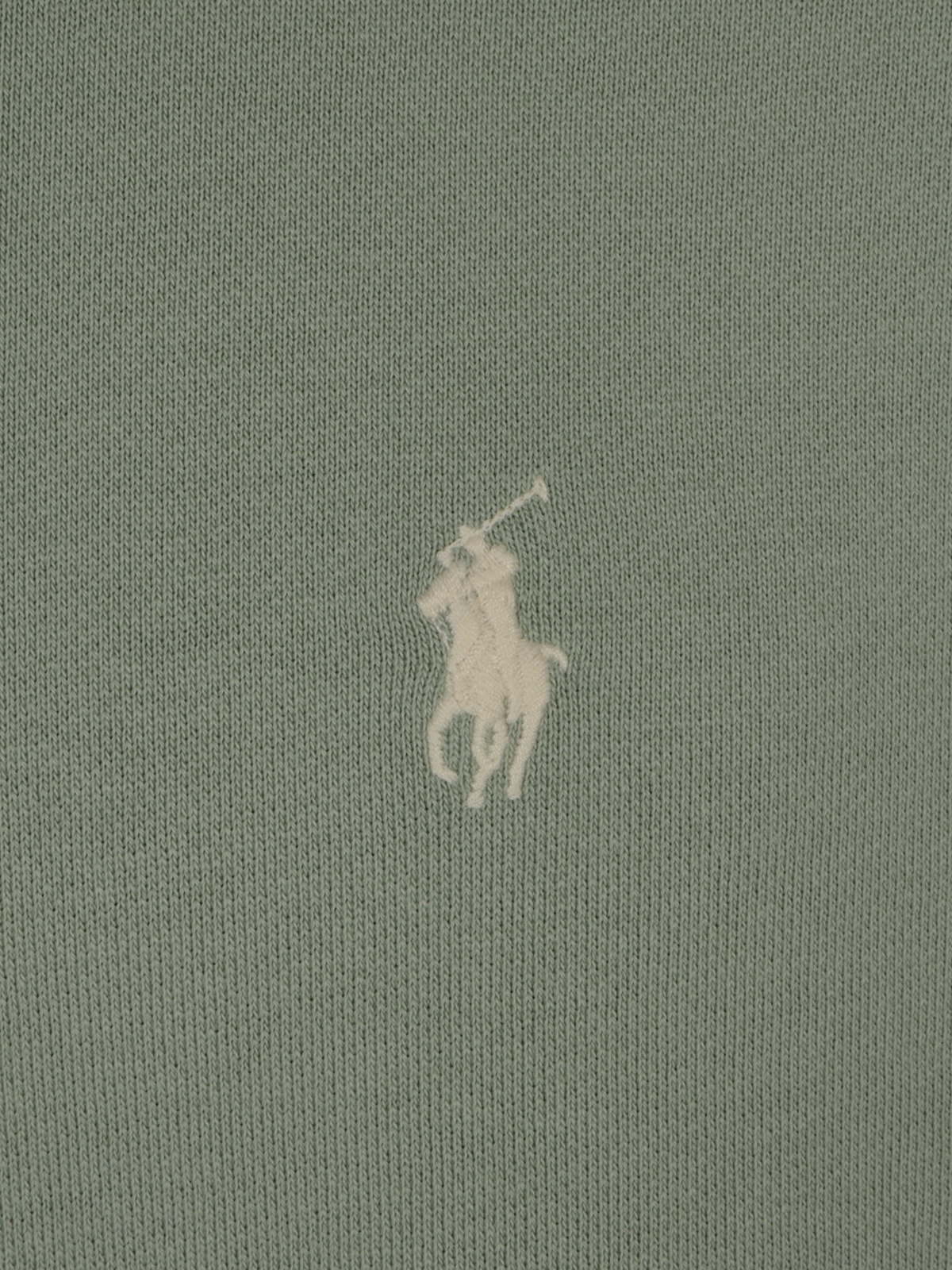 [Polo Ralph Lauren] Sweatshirt FW26 710916690507