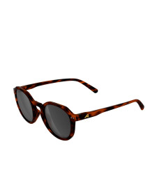 [ALPINA] Glasses FW26 A8768