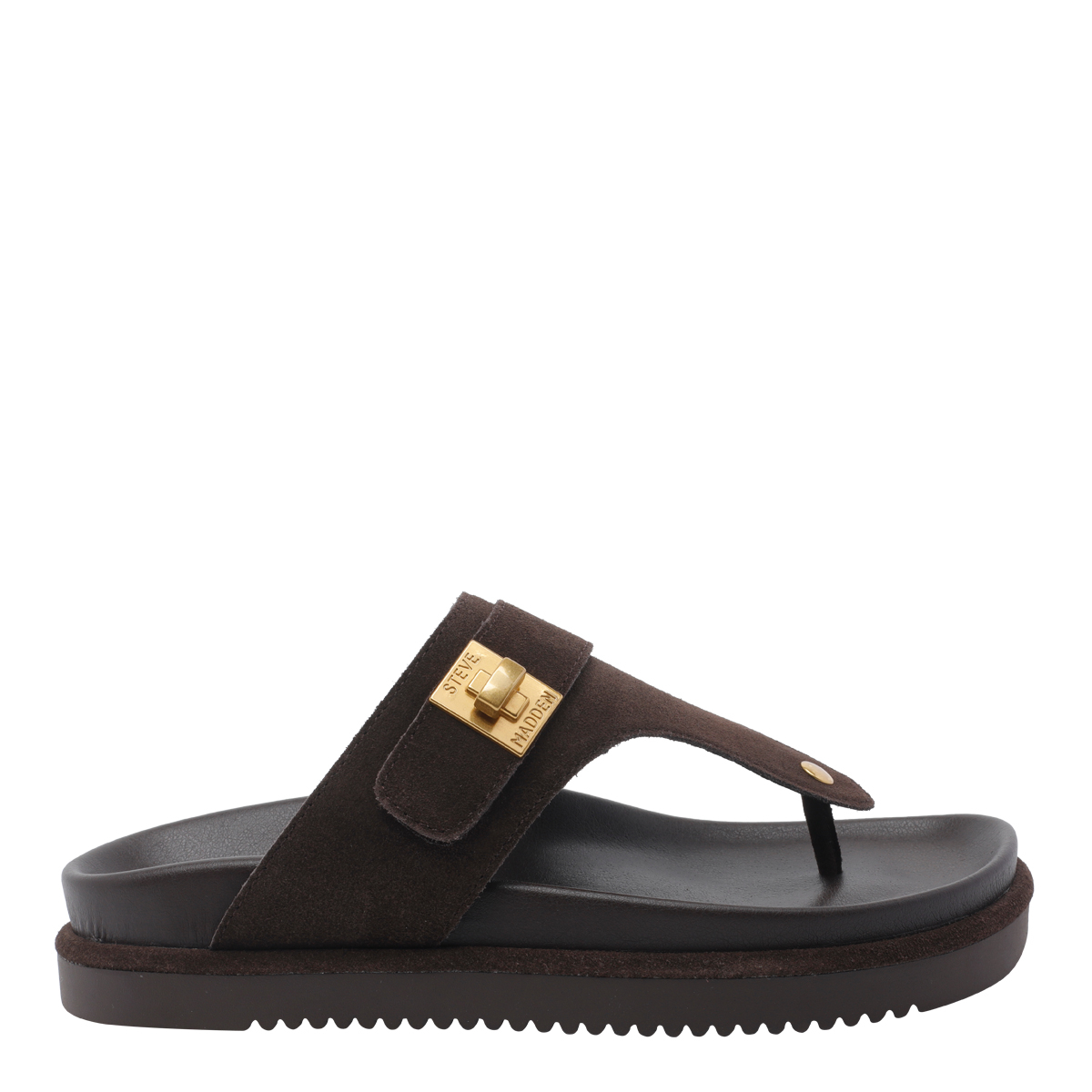 [Steve Madden] Slippers SS26 TUNEDCHOCOLATE BROWN