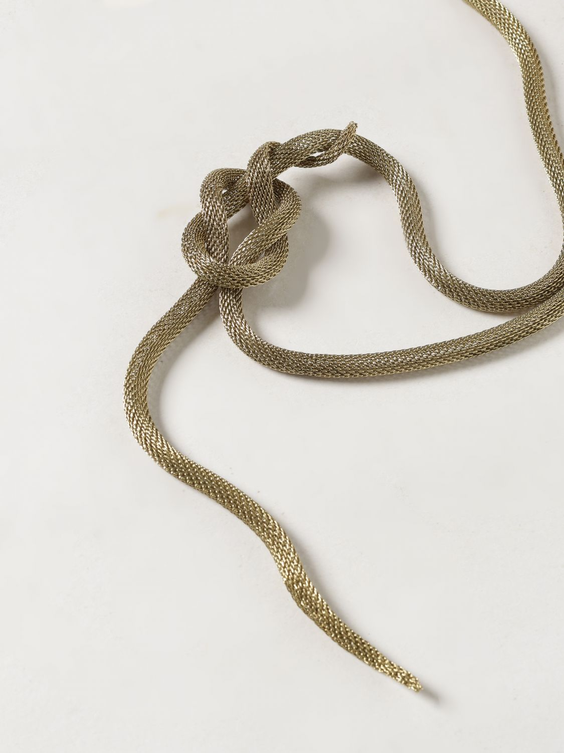 [ALLUJEWELS] Belt SS26 CINTA SERPENTE