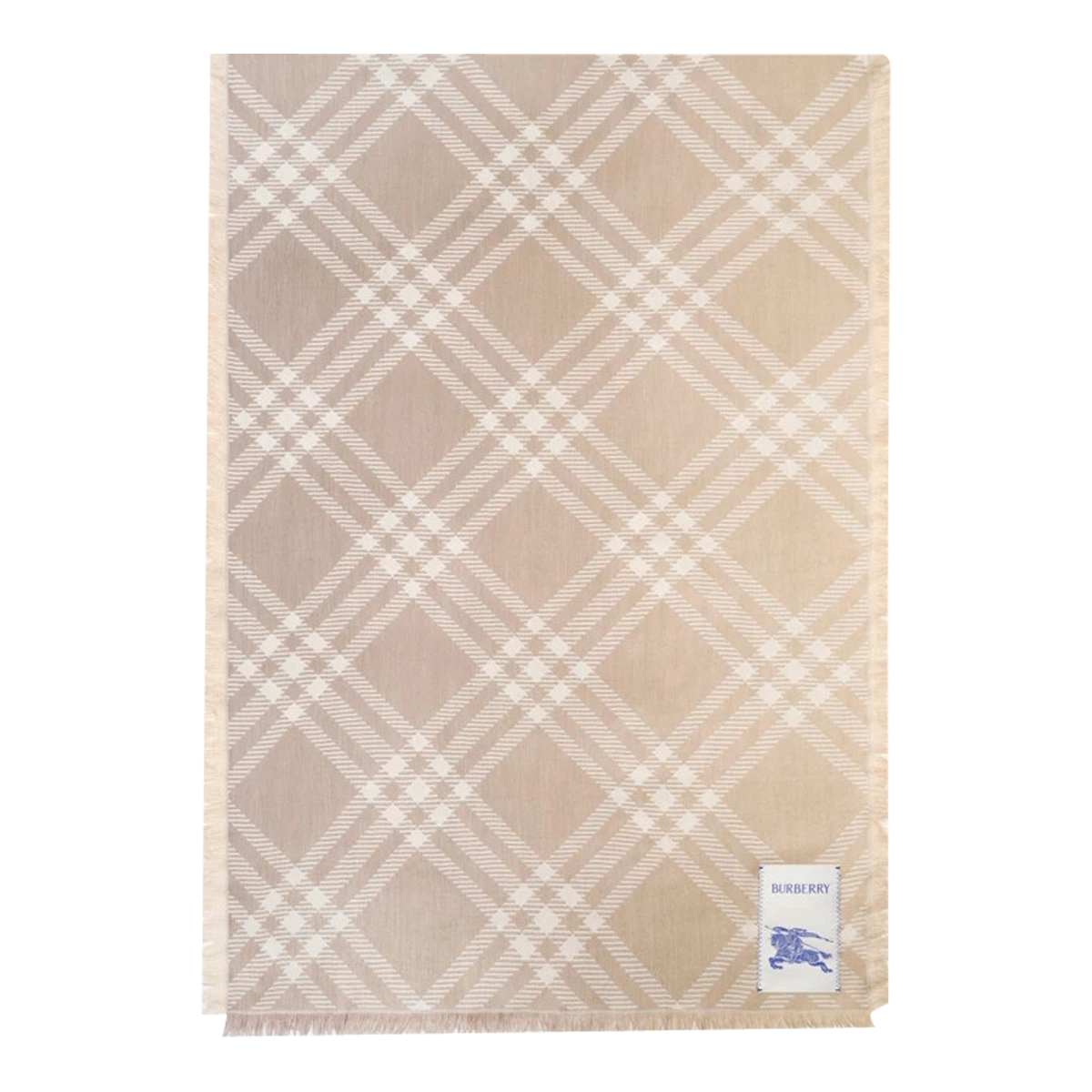 [Burberry] Scarf FW26 8125843B9719