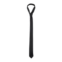 [Saint Laurent] Tie SS26 7200953Y0431000