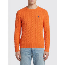 [Polo Ralph Lauren] Knitwear SS26 710775885 529