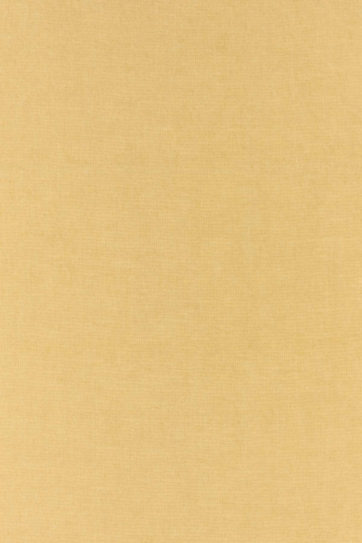 [Isabel Marant] Scarf FW26 EC002XFBA4C04A 10BR