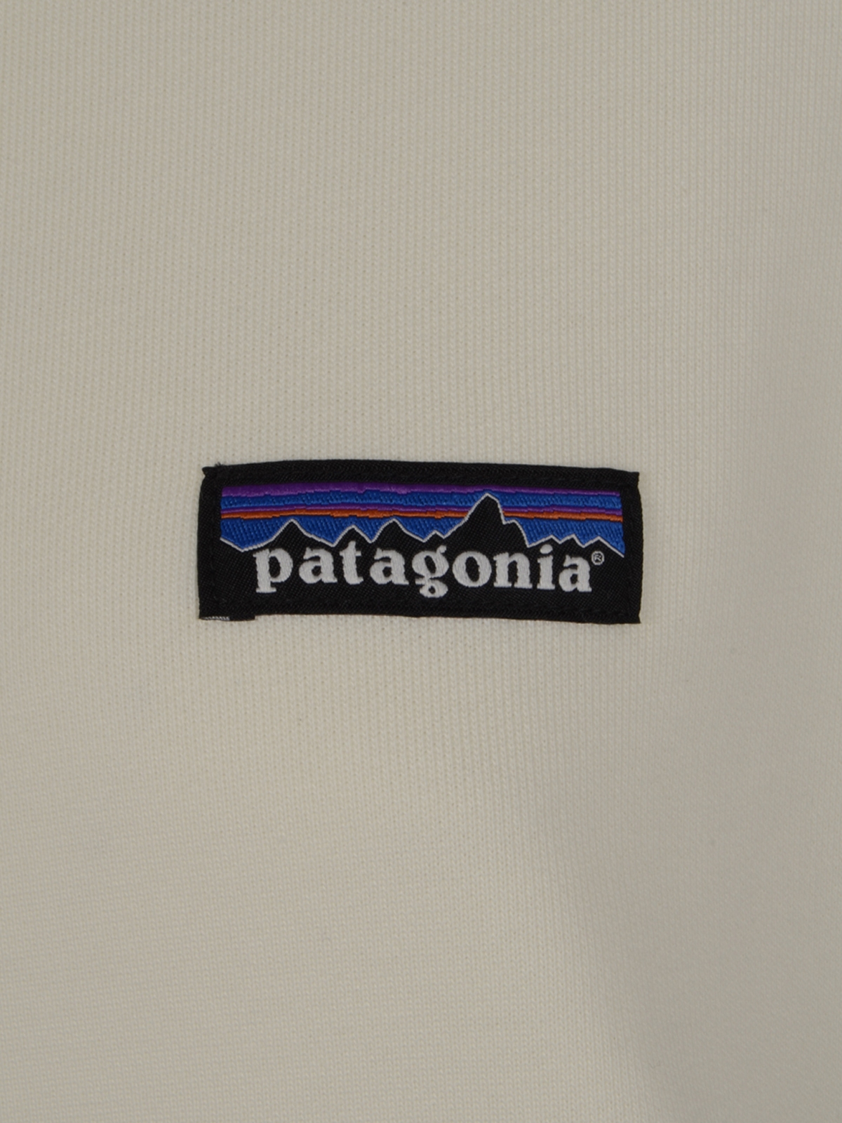 [Patagonia] Sweatshirt SS26 42172WLWT