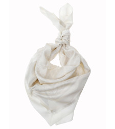 [Etro] Scarf SS26 WAXA0006 AK631