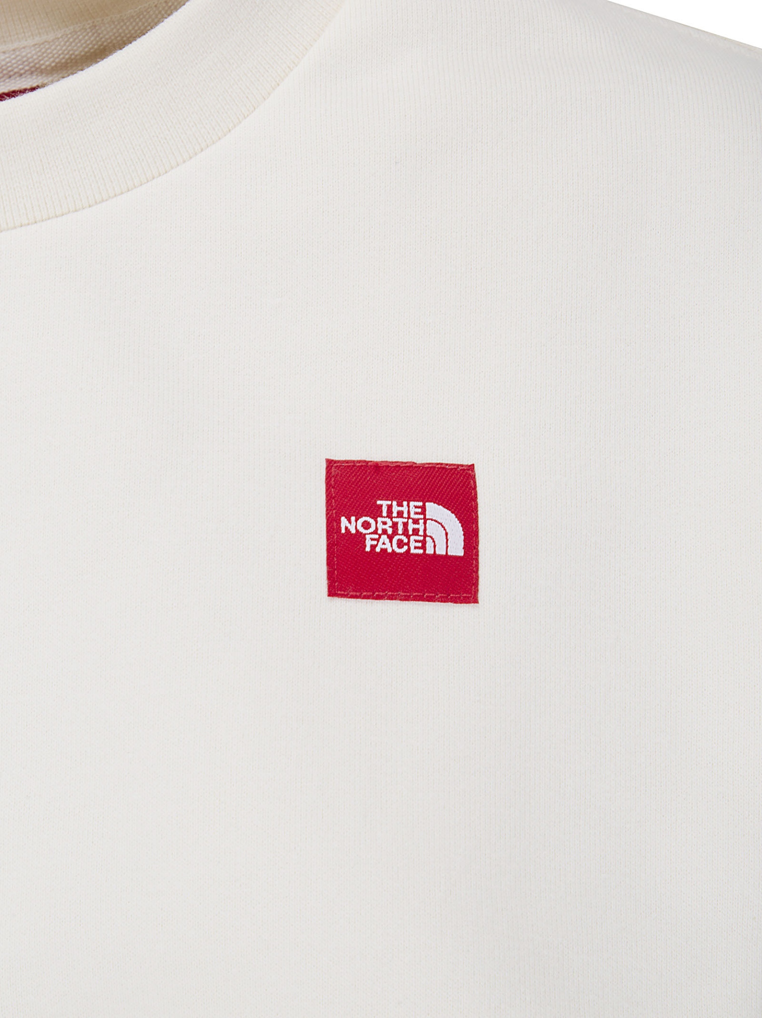 [THE NORTH FACE] Sweatshirt FW26 NF0A8EFYQLI1 QLI1