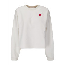 [THE NORTH FACE] Sweatshirt FW26 NF0A8EFYQLI1 QLI1