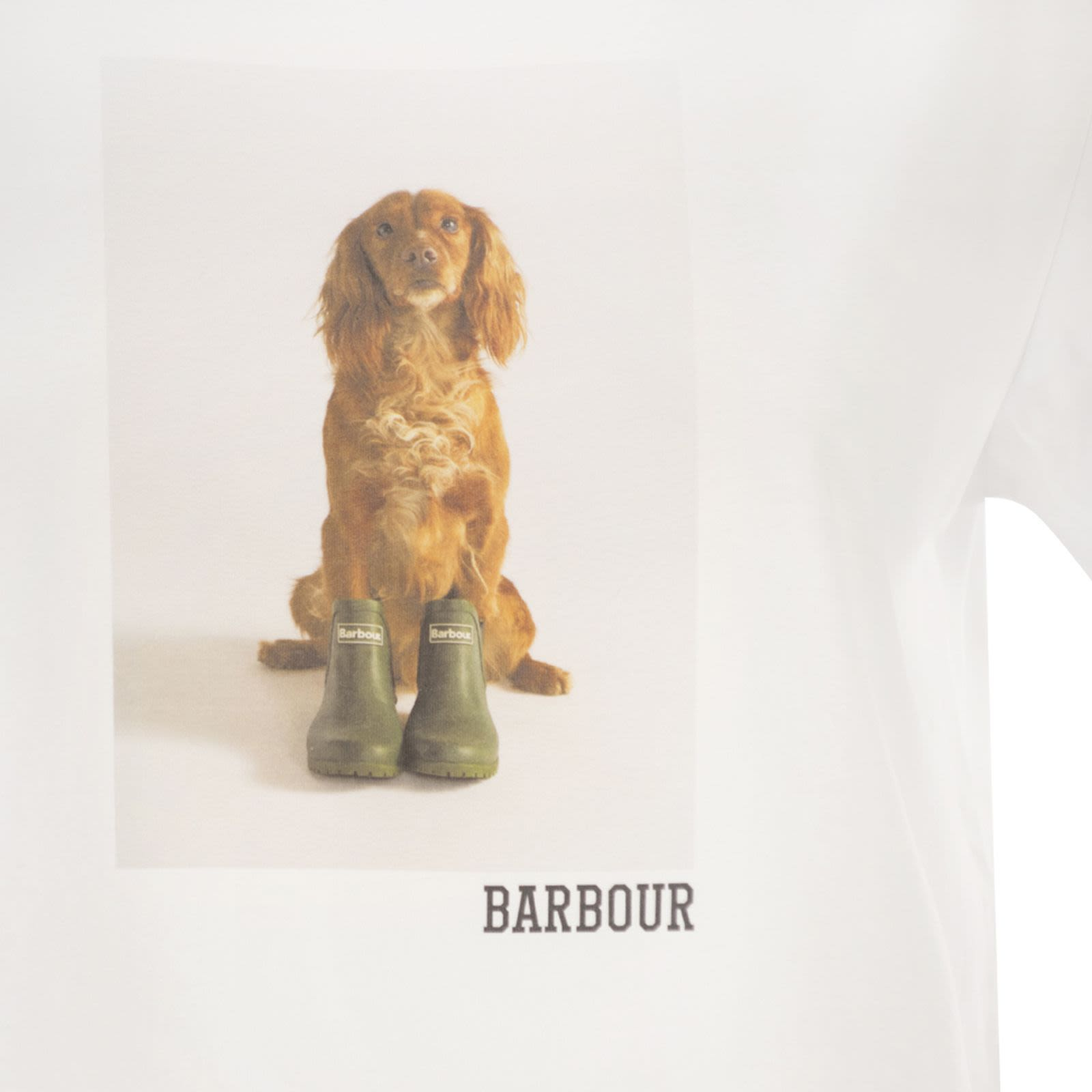 [Barbour] T-shirts Short Sleeve SS26 LTS0715 LTS WH11