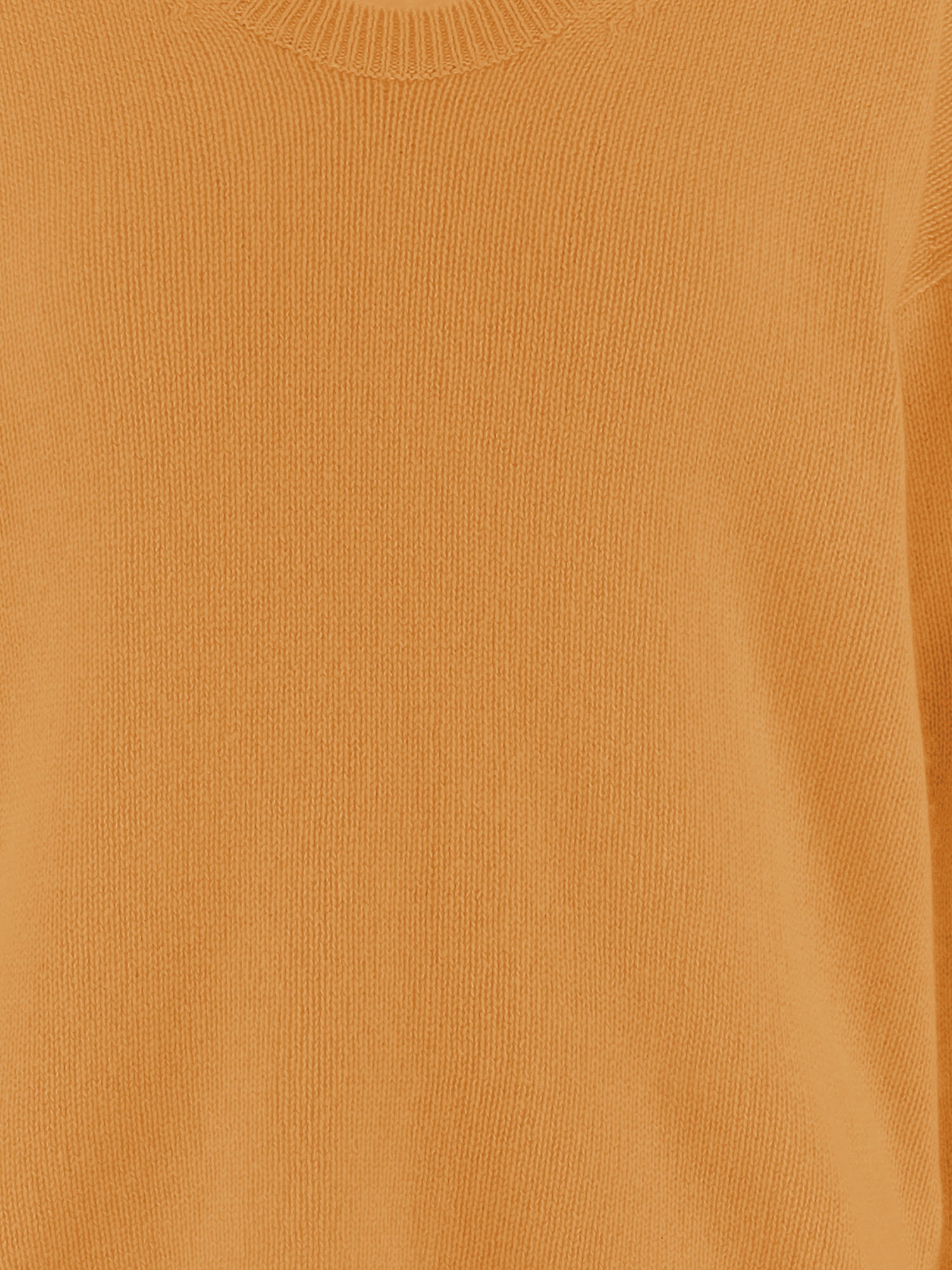 [ALLUDE] Knitwear SS26 2621121253