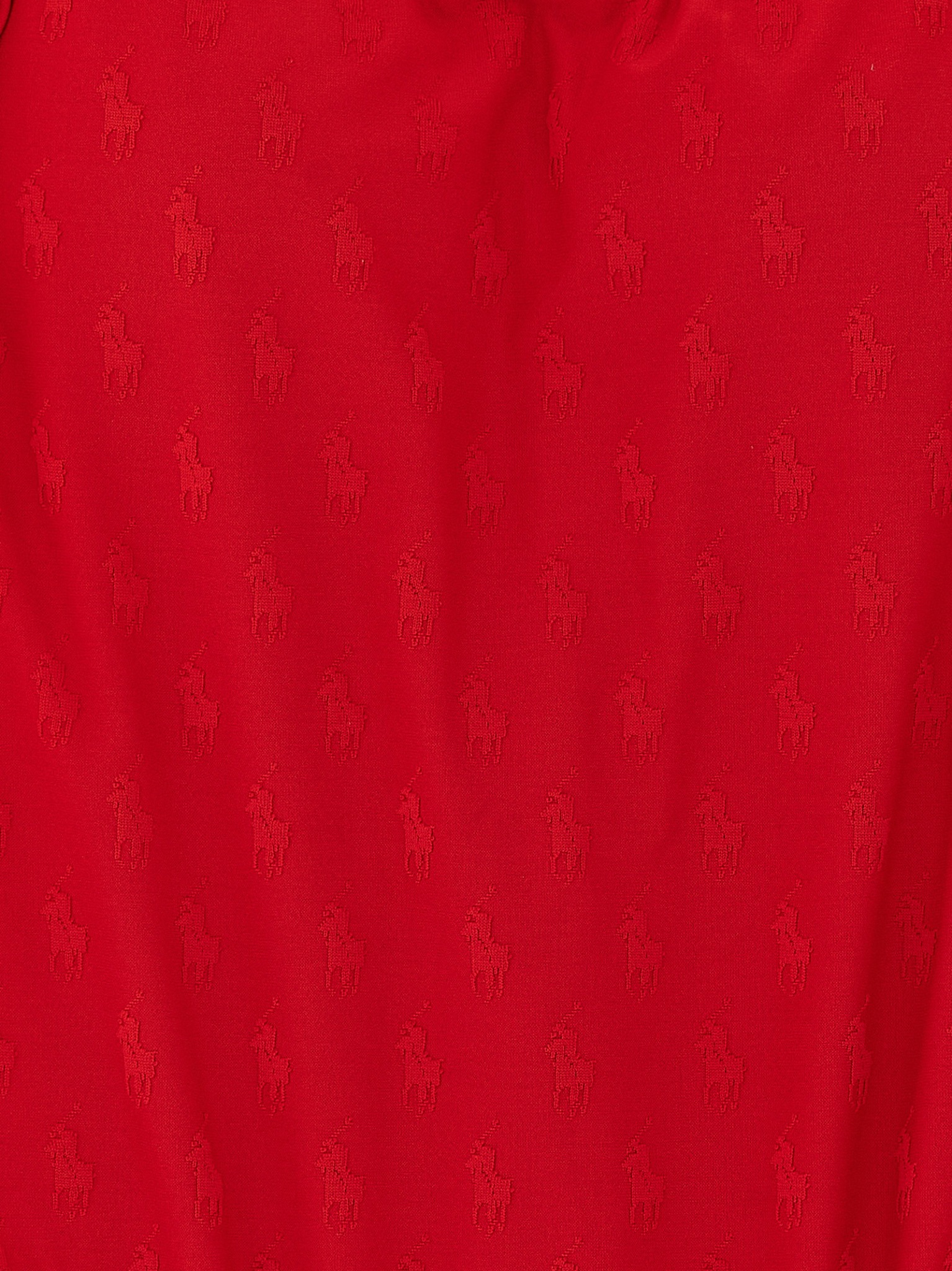 [Polo Ralph Lauren] Swimsuit SS26 21685304CRUISERED