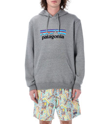 [Patagonia] Hoodie FW26 39622GLH