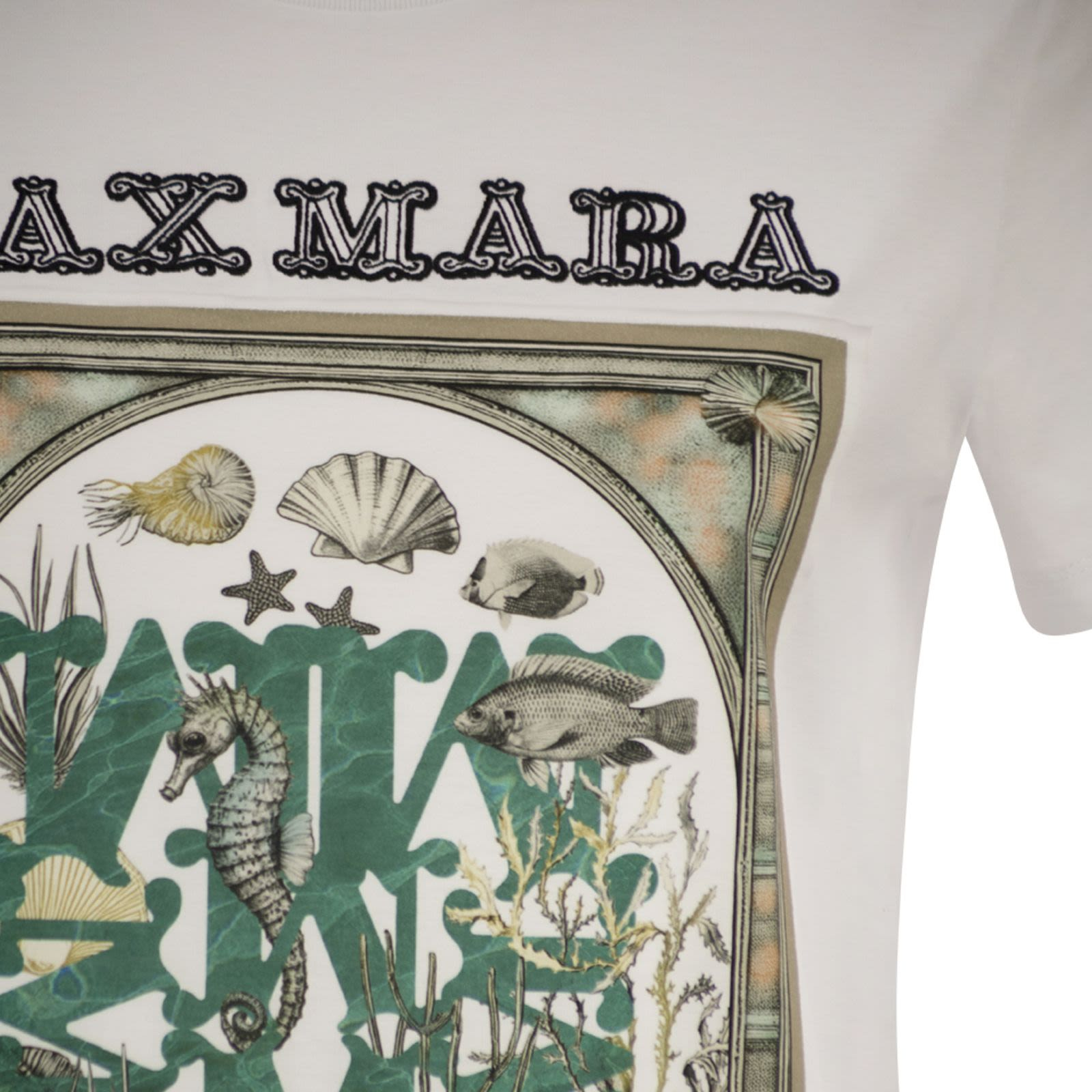 [MaxMara] T-shirts Short Sleeve SS26 2611941062600 019