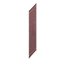 [Saint Laurent] Scarf FW26 8682563Y0016188 BORDEAUX MULTICOLOR