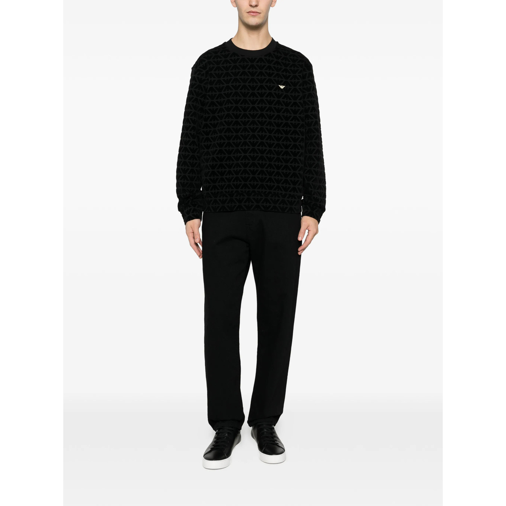 [Emporio Armani] Sweatshirt SS26 AF10013 EM005164 FC307