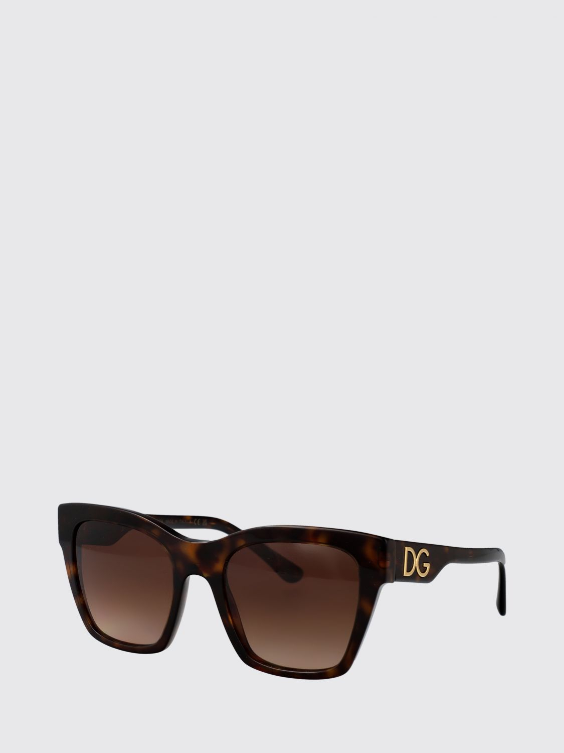 [Dolce & Gabbana] Sunglasses SS26 0DG4384 502/13