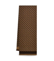 [Salvatore Ferragamo] Scarf FW26 520187795568004