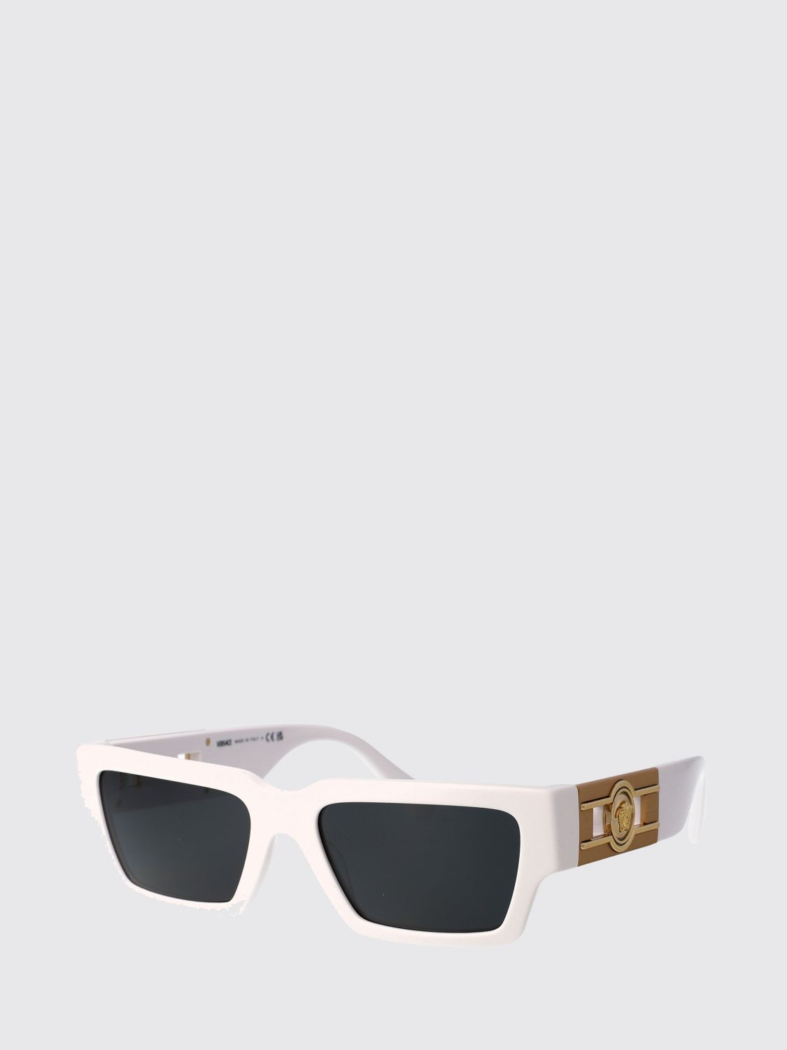 [Versace] Sunglasses SS26 0VE4459 314/87