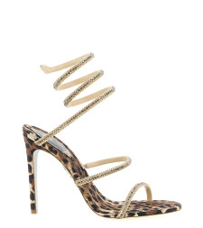 [Rene Caovilla] Sandals FW26 C12899105R001Y450