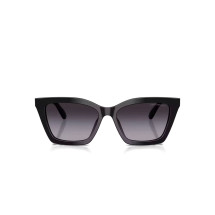 [Emporio Armani] Sunglasses FW25 0EA4250U50178G54