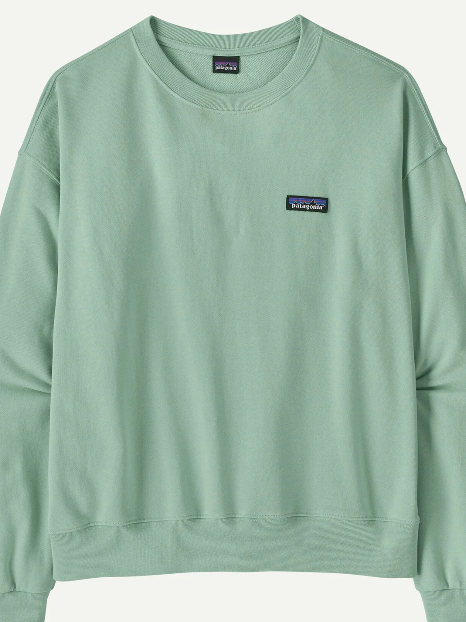 [Patagonia] Sweatshirt SS26 42172