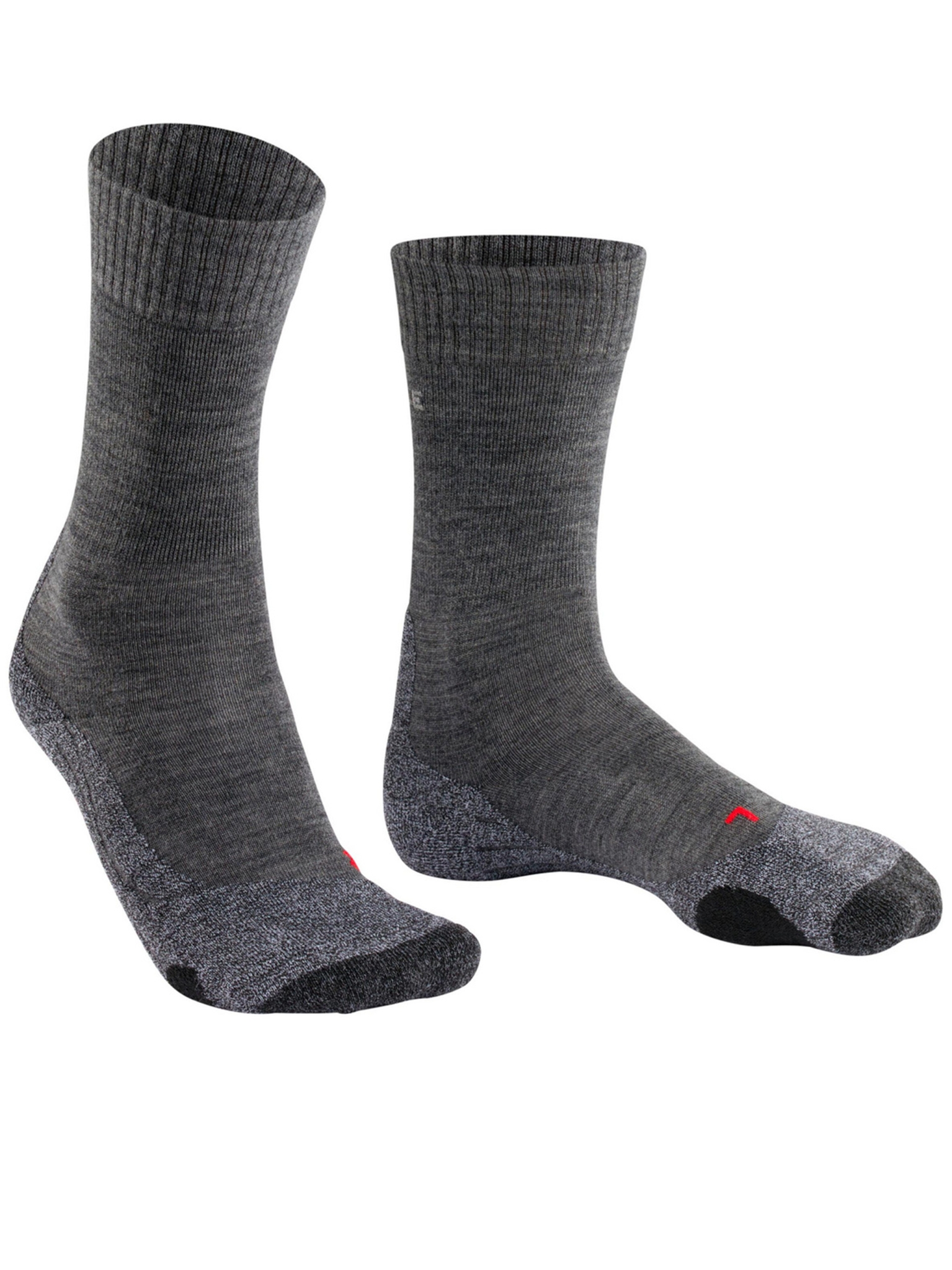 [FALKE] Socks SS26 16445