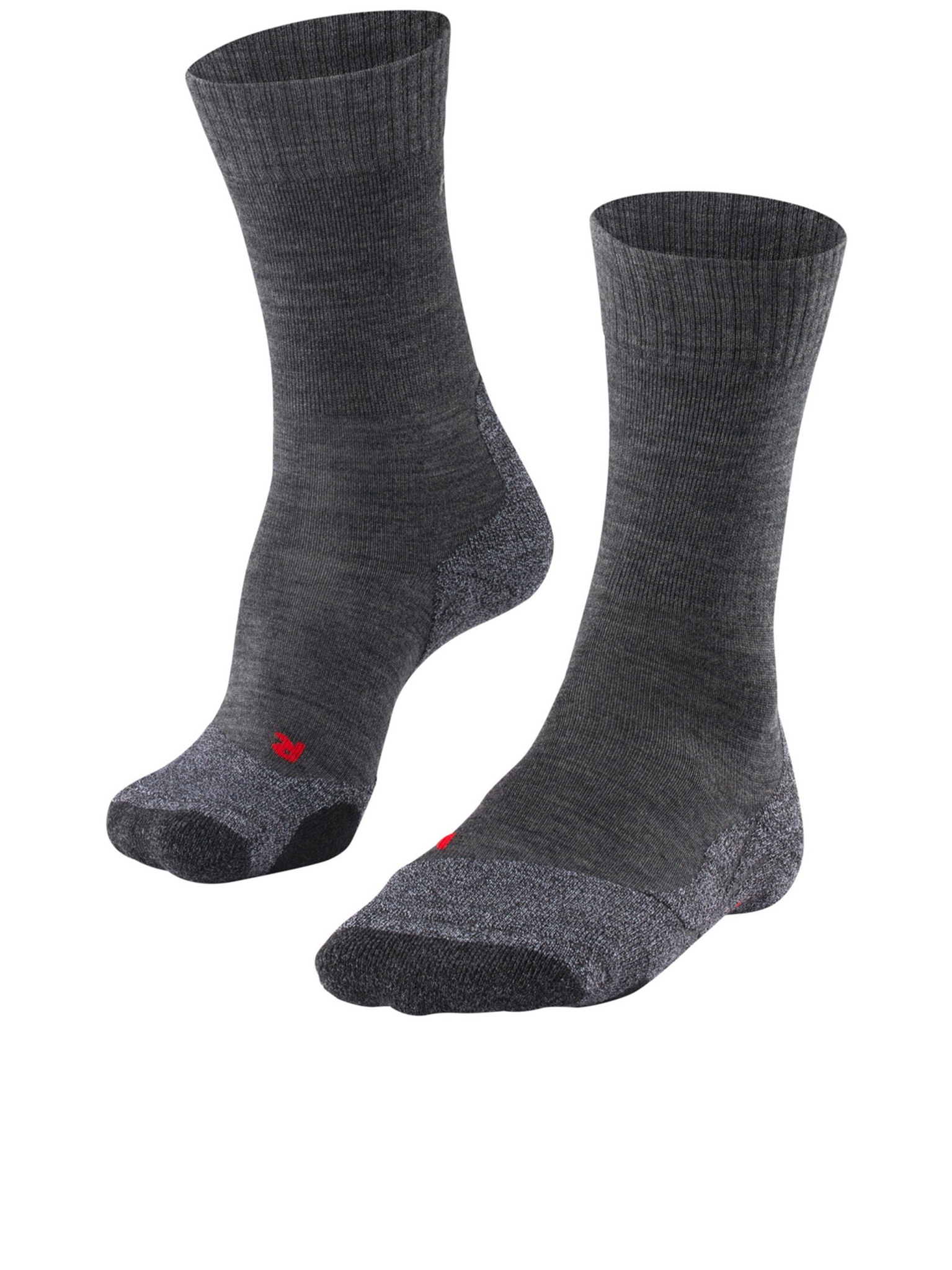 [FALKE] Socks SS26 16445