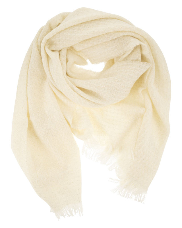 [Fabiana Filippi] Scarf FW26 SAD216A874M526 0145