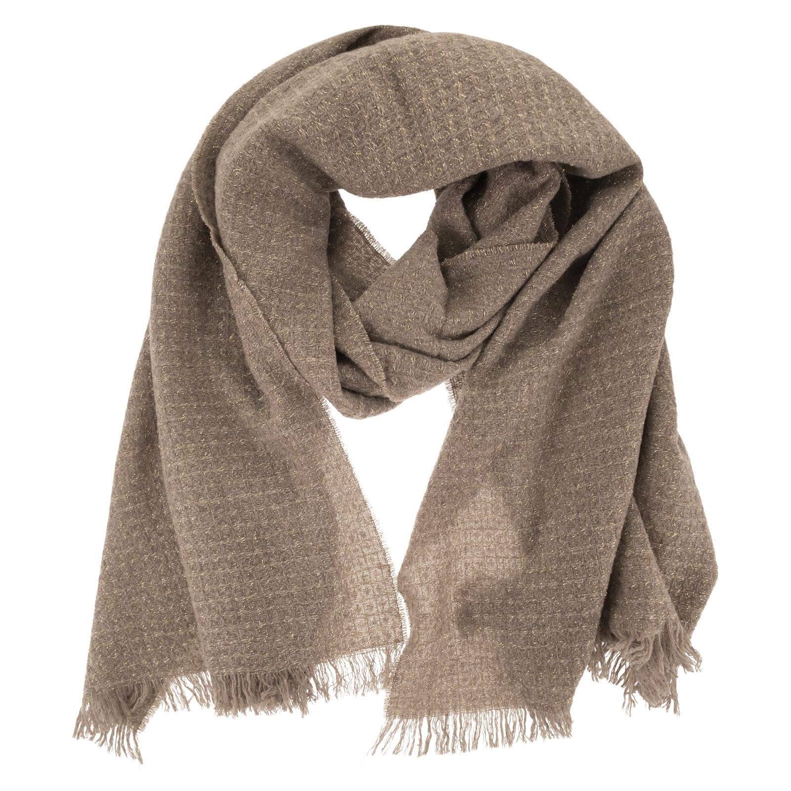 [Fabiana Filippi] Scarf FW26 SAD216A874M526 0165