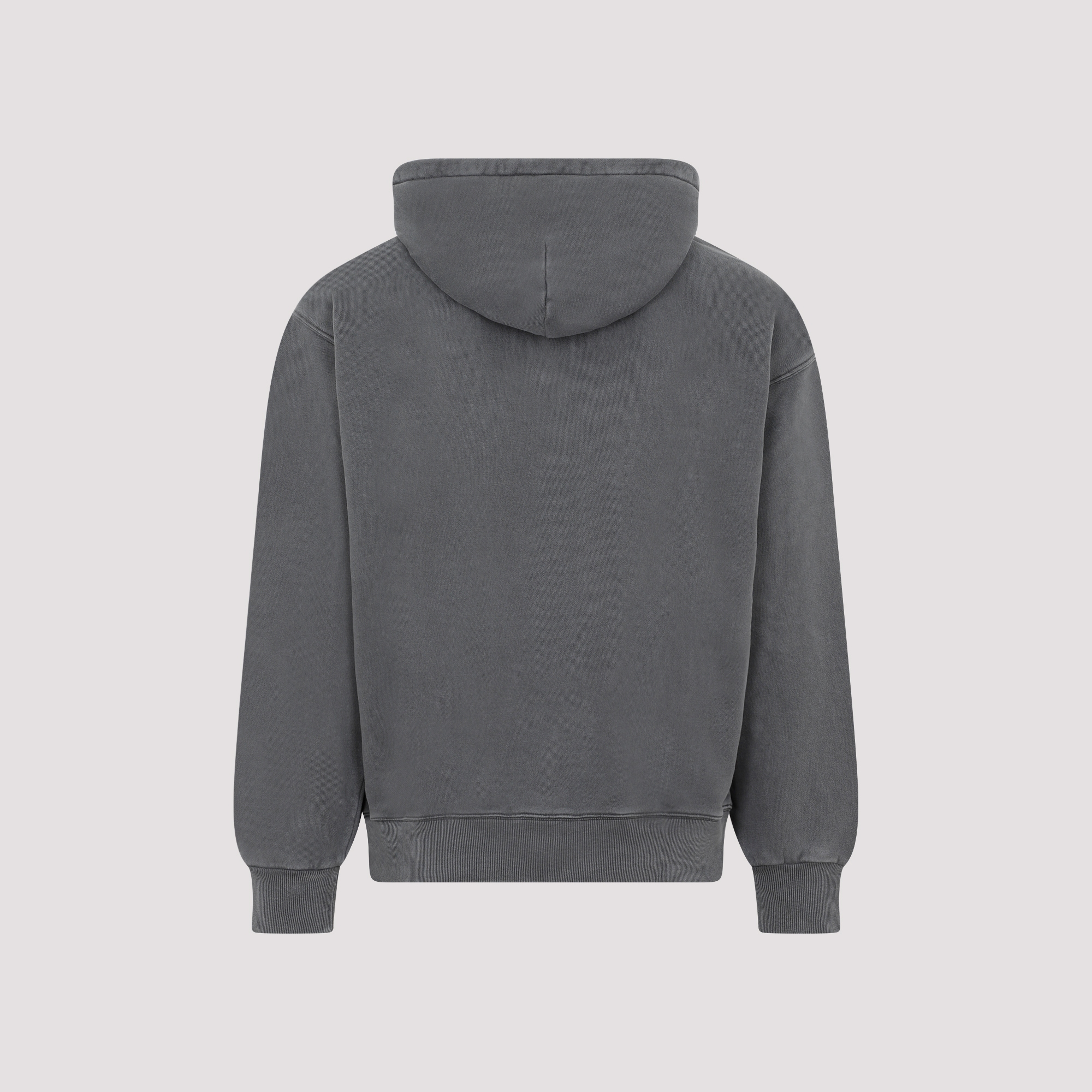 [CARHARTT WIP] Hoodie SS26 I02996389GD03