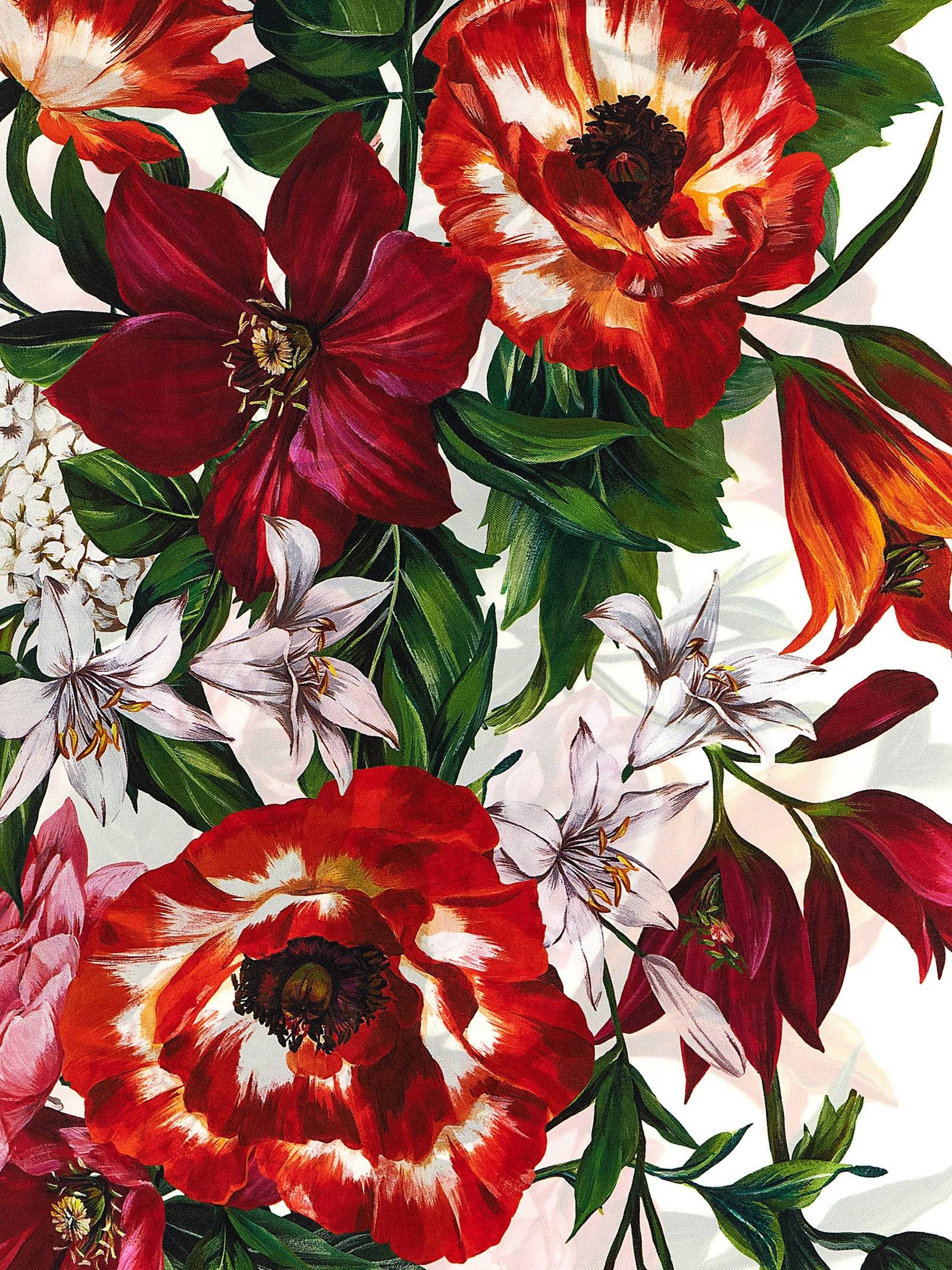 [Dolce & Gabbana] Scarf FW25 FN090RGDC7AHA5QX