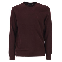 [Polo Ralph Lauren] Knitwear CO 710974148 008