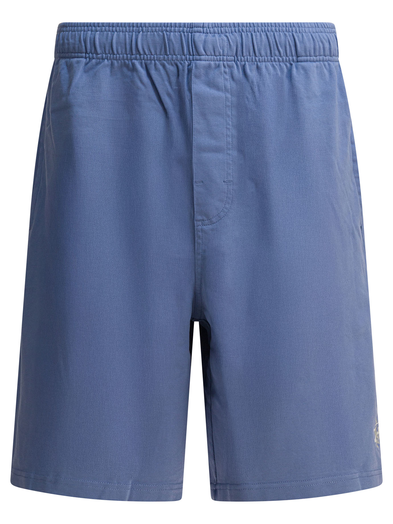 [Stussy] Shorts FW25 1123340801 BLUE