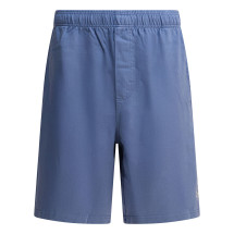 [Stussy] Shorts FW25 1123340801 BLUE