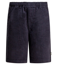 [Stussy] Shorts FW25 112282NAVY