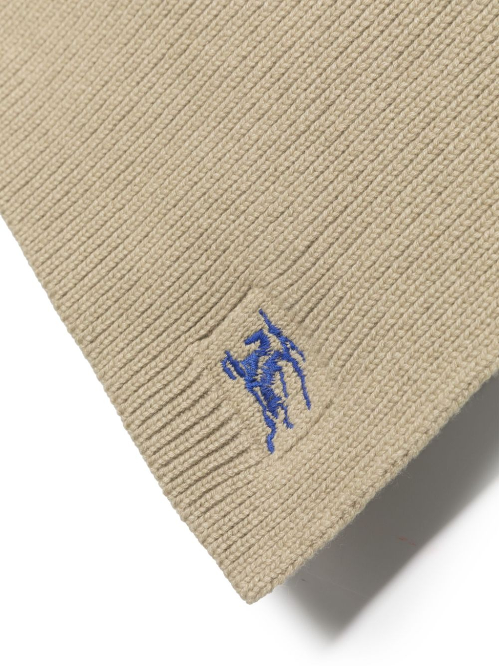 [Burberry] Scarf SS24 8085772B7311