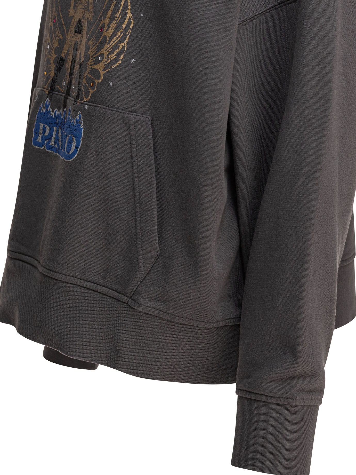 [PINKO] Hoodie SS25 104623A2DBI63