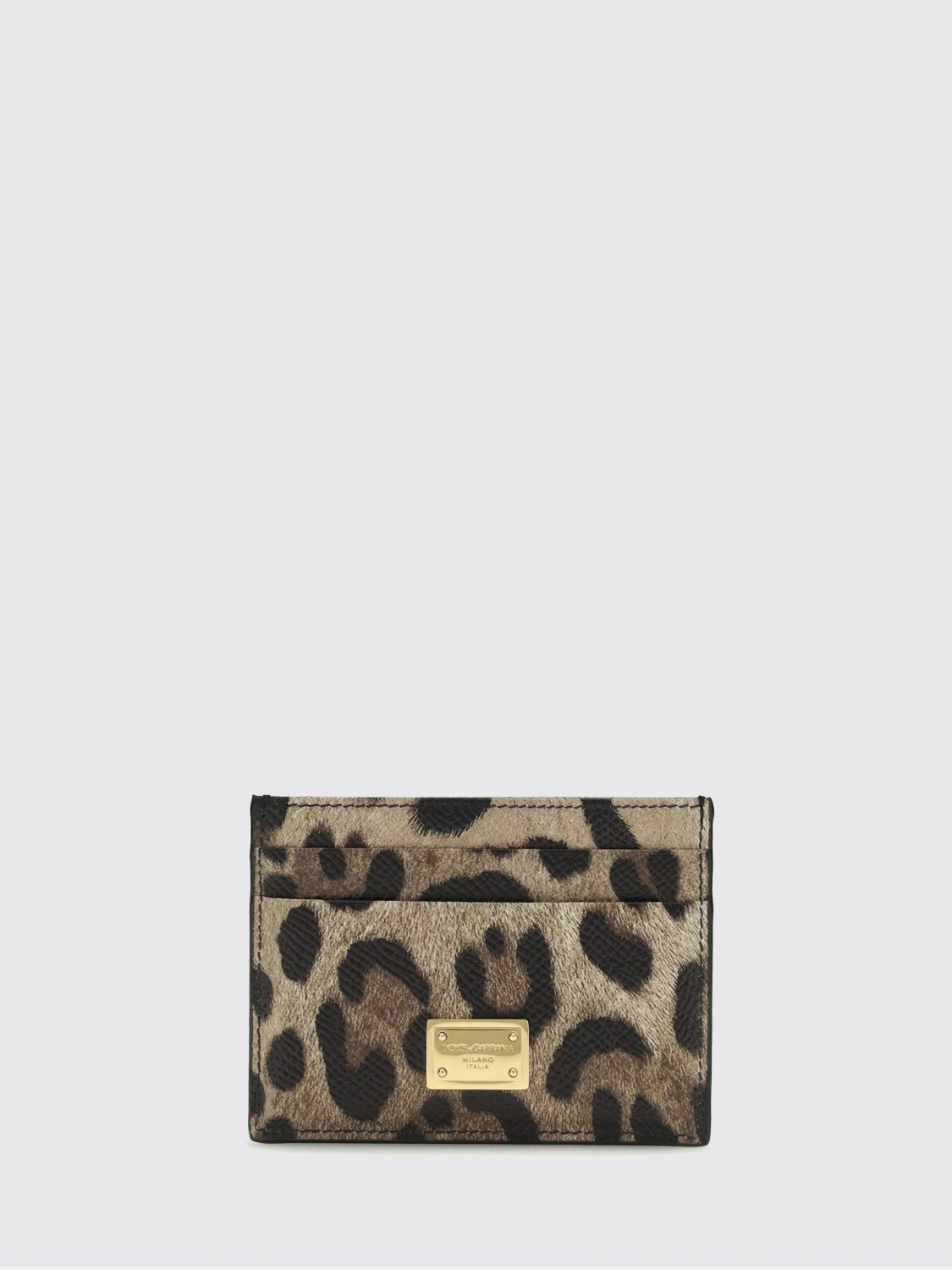 [Dolce & Gabbana] Wallet SS26 BI0330AX566 HY13M
