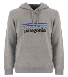 [Patagonia] Hoodie CO 39622 GLH