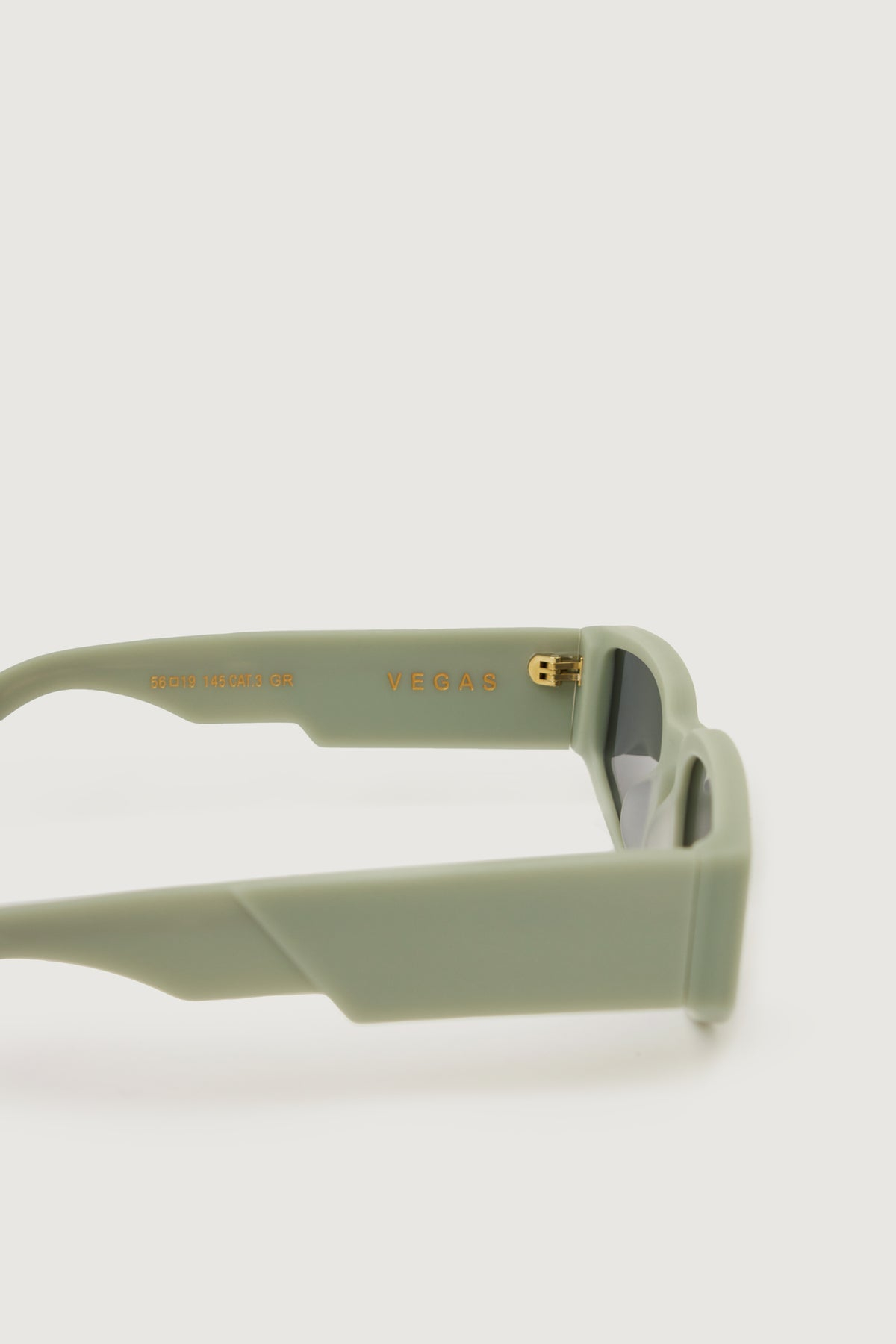 [Paura] Sunglasses FW24 VEGASUN0458