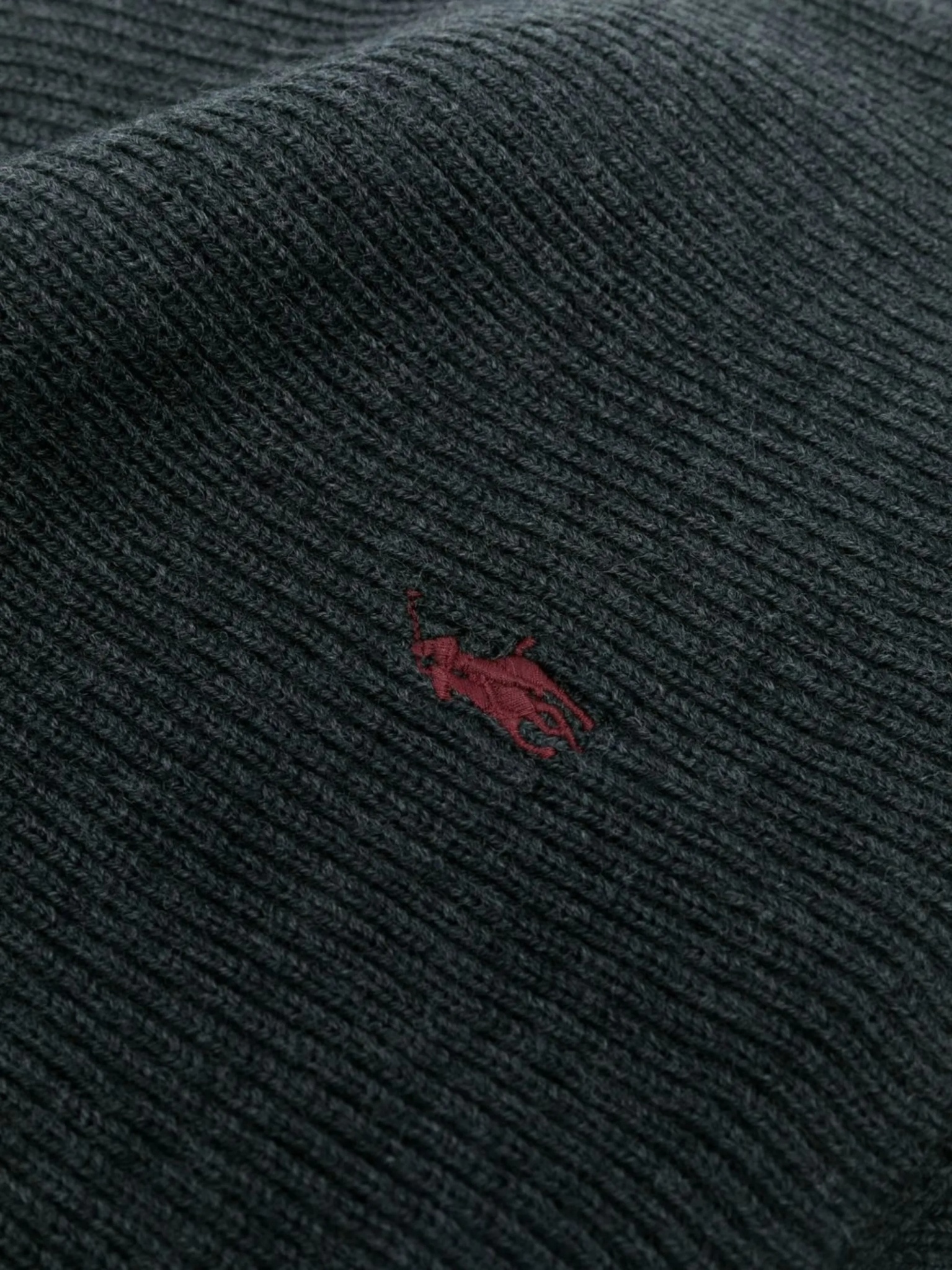 [Polo Ralph Lauren] Scarf FW25 710886136004