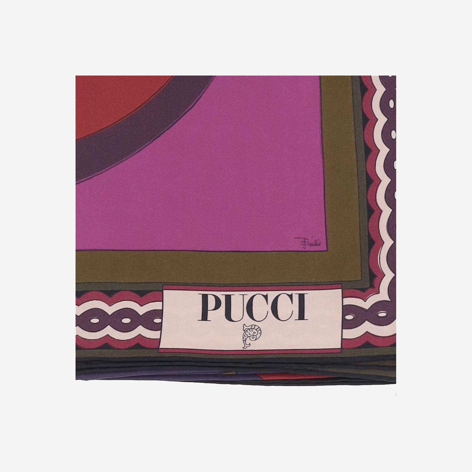 [Emilio Pucci] Scarf FW25 5UGB455UC322