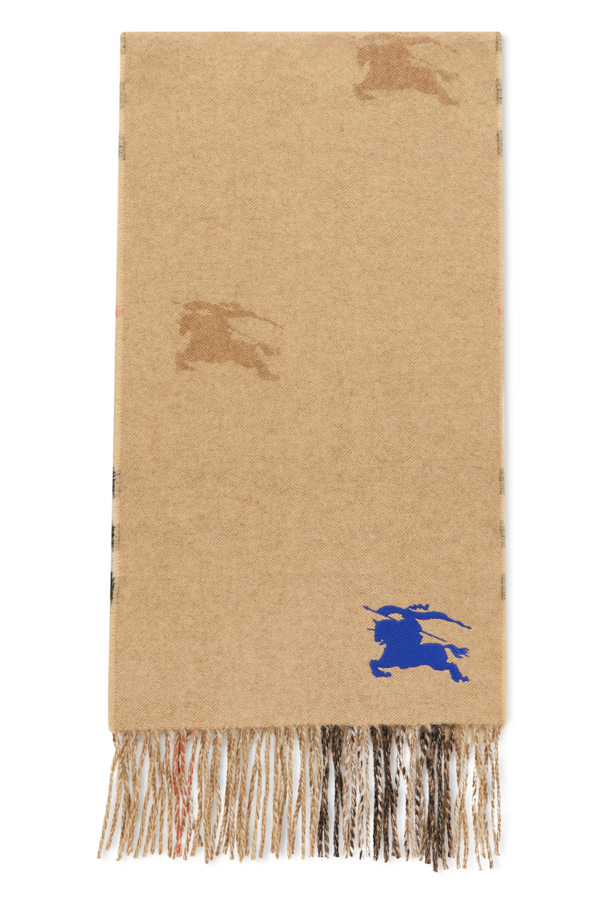 Scarf with fringes and logo