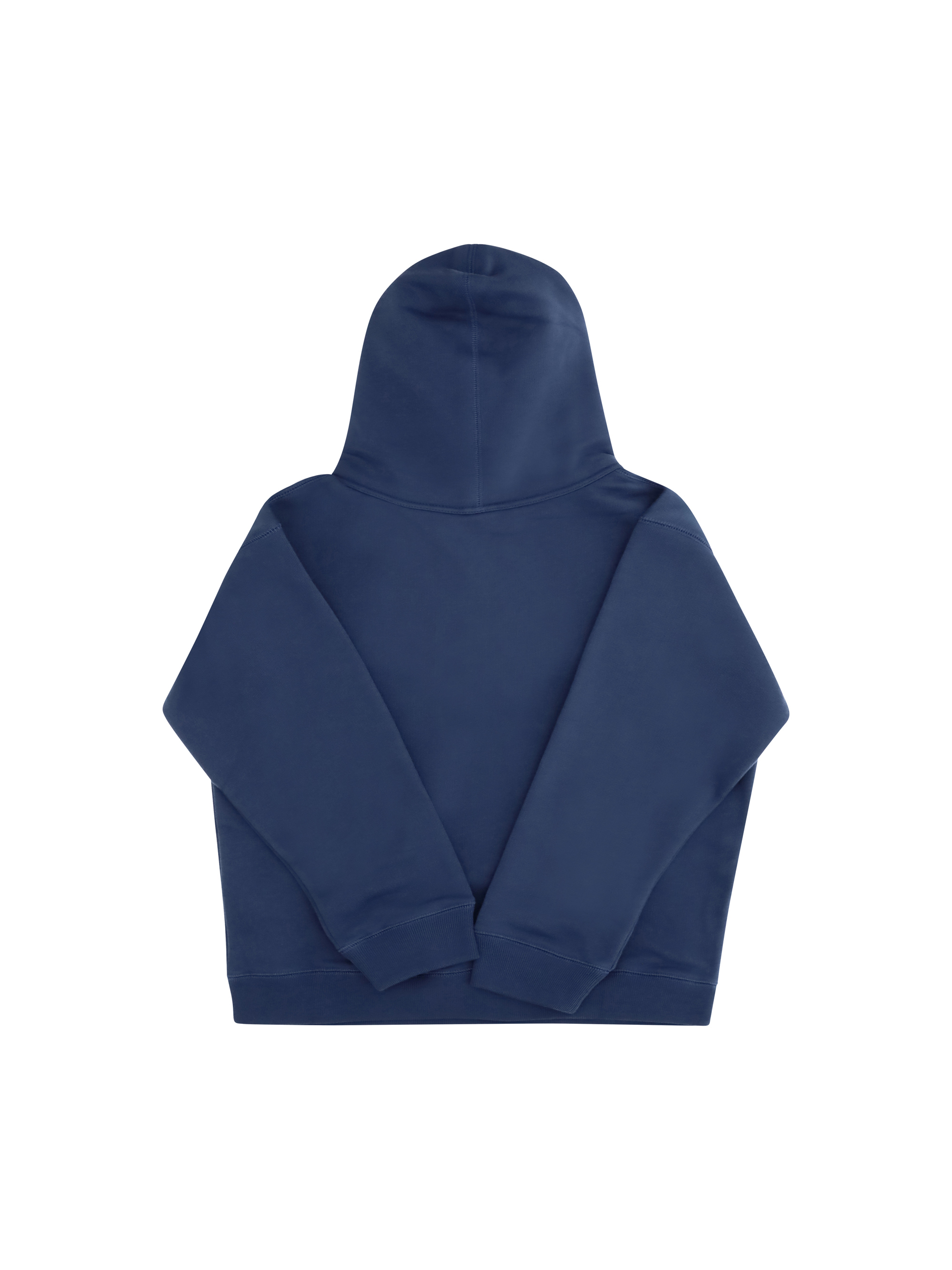 Cotton Hooded Sweatshirt with print for Boy