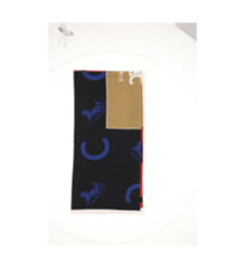 CELINE 2AW902R45 GGT3