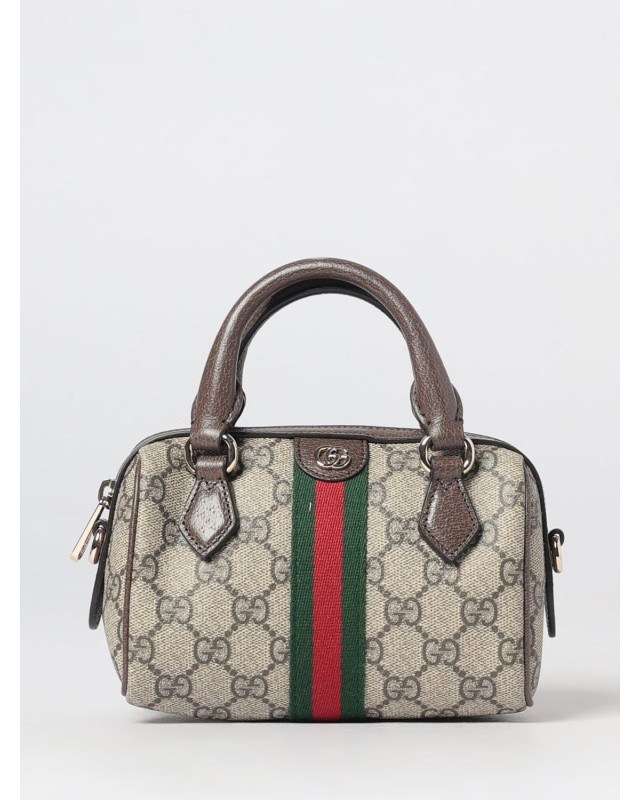 [Gucci] Minibag SS26 838478FAE0P 9746