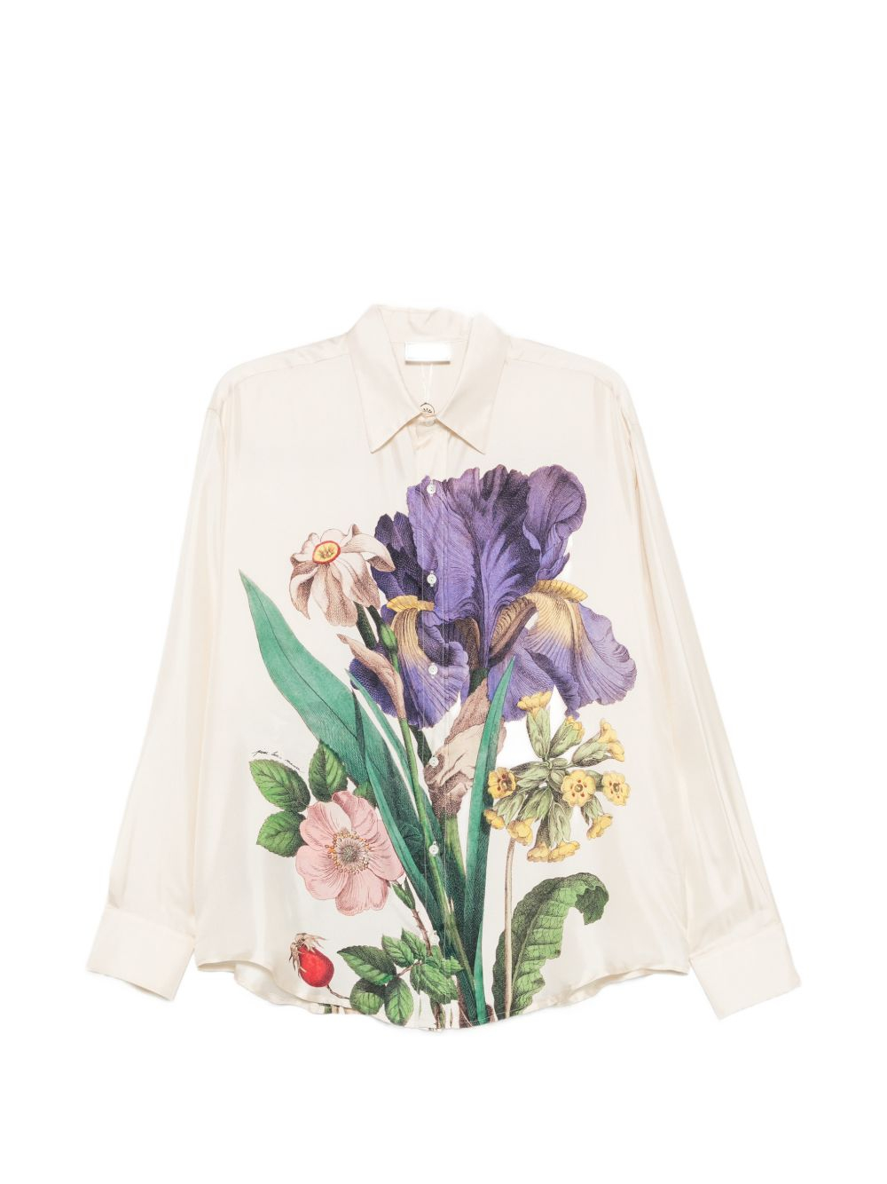 [Pierre Louis Mascia] Shirts Long Sleeve FW26 ALOE/S-CML10643101519100