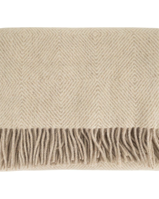 [Fabiana Filippi] Scarf FW26 SAD226A963M580 VR1